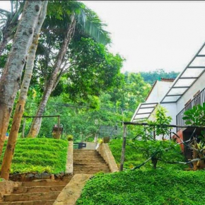 Dhighayu Ayurvedic Wellness Resort